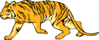 Stalking Tiger Clip Art